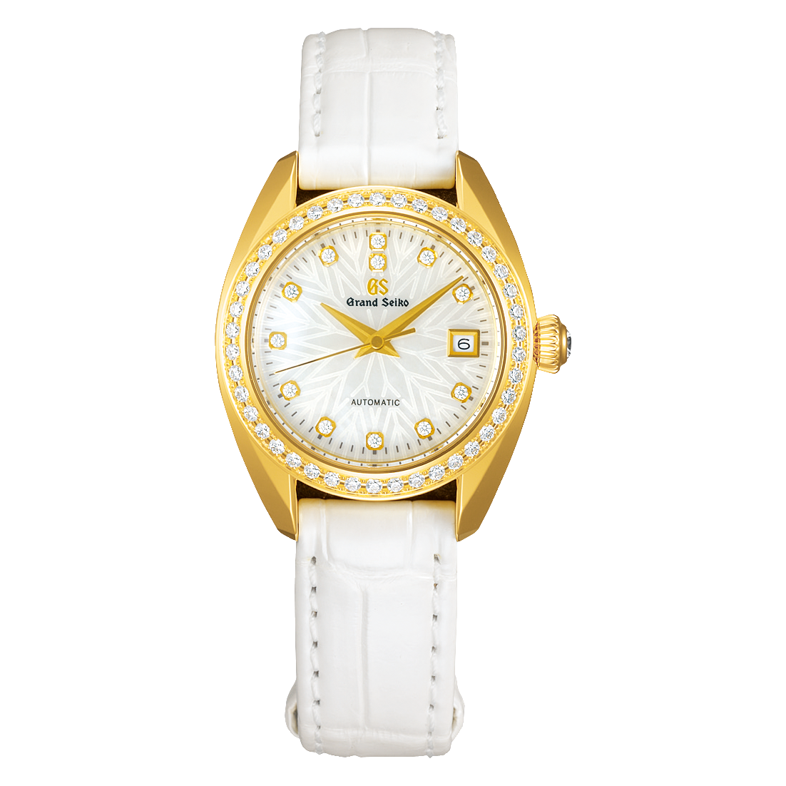 Elegance Collection